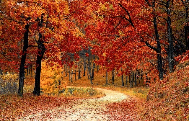 Park jesienią